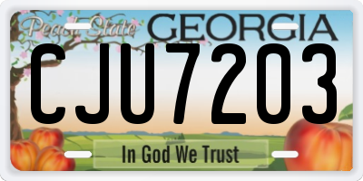 GA license plate CJU7203