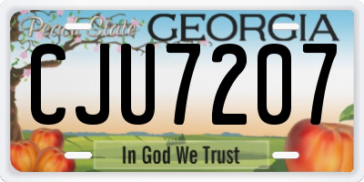 GA license plate CJU7207