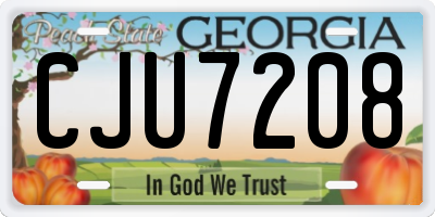 GA license plate CJU7208