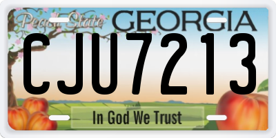 GA license plate CJU7213