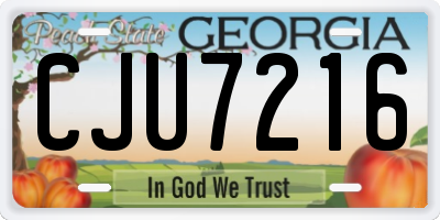 GA license plate CJU7216