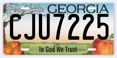 GA license plate CJU7225