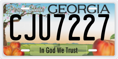 GA license plate CJU7227