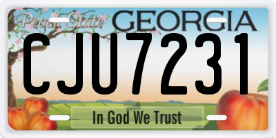 GA license plate CJU7231