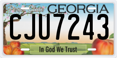 GA license plate CJU7243