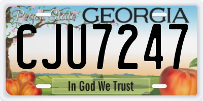 GA license plate CJU7247