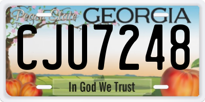 GA license plate CJU7248