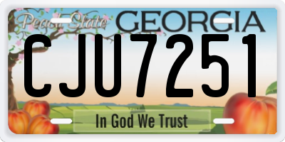 GA license plate CJU7251