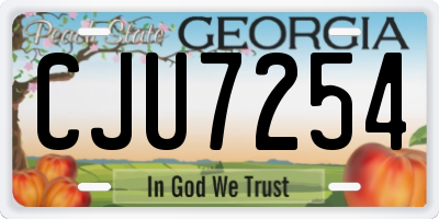 GA license plate CJU7254