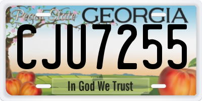 GA license plate CJU7255