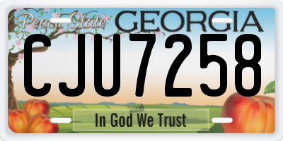 GA license plate CJU7258