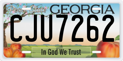 GA license plate CJU7262