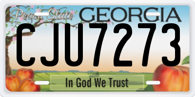 GA license plate CJU7273