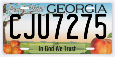 GA license plate CJU7275