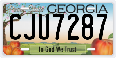 GA license plate CJU7287