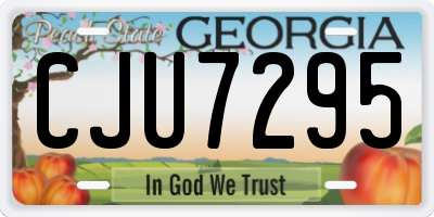 GA license plate CJU7295