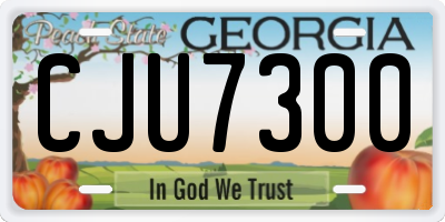 GA license plate CJU7300
