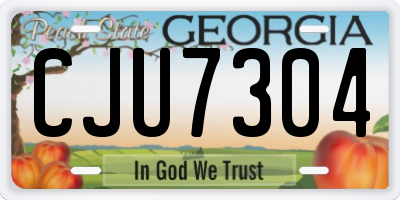 GA license plate CJU7304