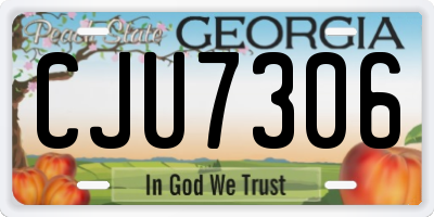 GA license plate CJU7306