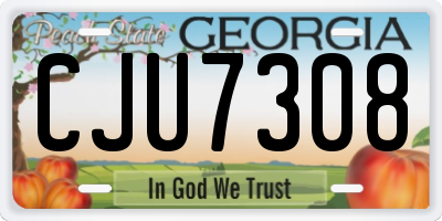 GA license plate CJU7308