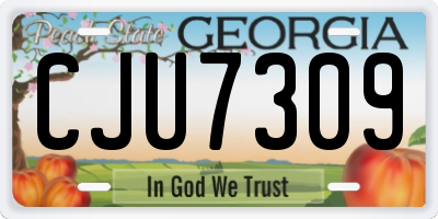 GA license plate CJU7309