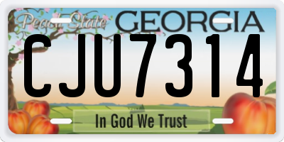 GA license plate CJU7314
