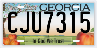 GA license plate CJU7315