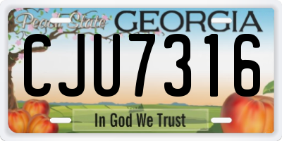GA license plate CJU7316