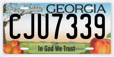 GA license plate CJU7339
