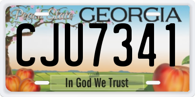 GA license plate CJU7341