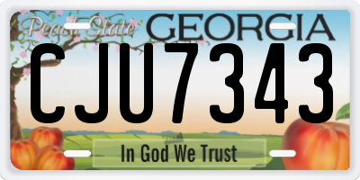 GA license plate CJU7343