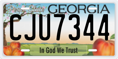 GA license plate CJU7344