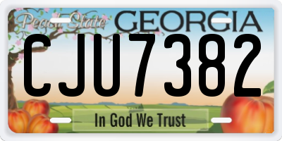 GA license plate CJU7382
