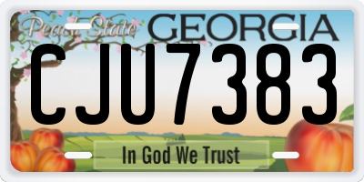 GA license plate CJU7383