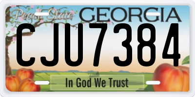 GA license plate CJU7384