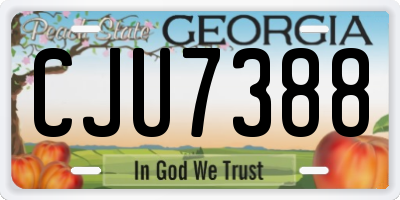GA license plate CJU7388