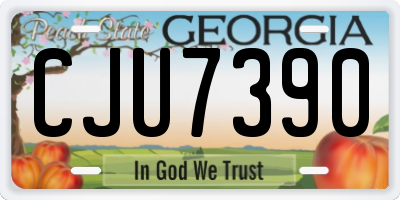 GA license plate CJU7390