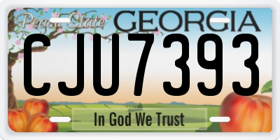GA license plate CJU7393