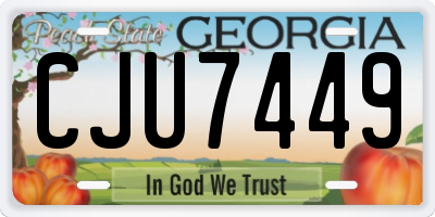 GA license plate CJU7449