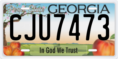 GA license plate CJU7473