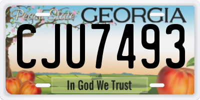 GA license plate CJU7493