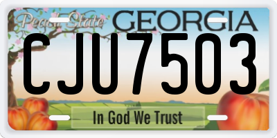 GA license plate CJU7503