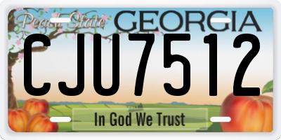 GA license plate CJU7512