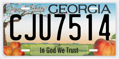 GA license plate CJU7514