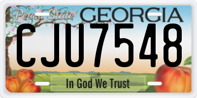GA license plate CJU7548