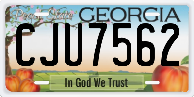 GA license plate CJU7562