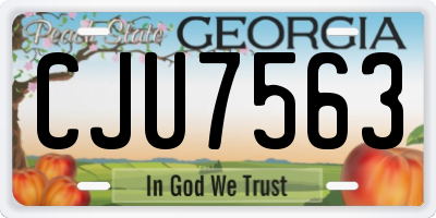 GA license plate CJU7563