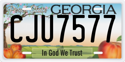 GA license plate CJU7577