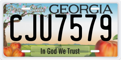 GA license plate CJU7579