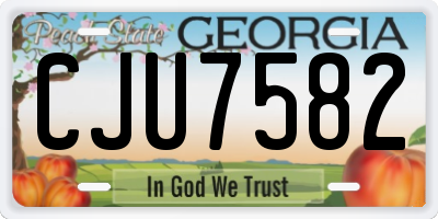 GA license plate CJU7582